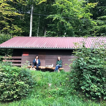 Schwedische Sommer Huette Unter Buchen